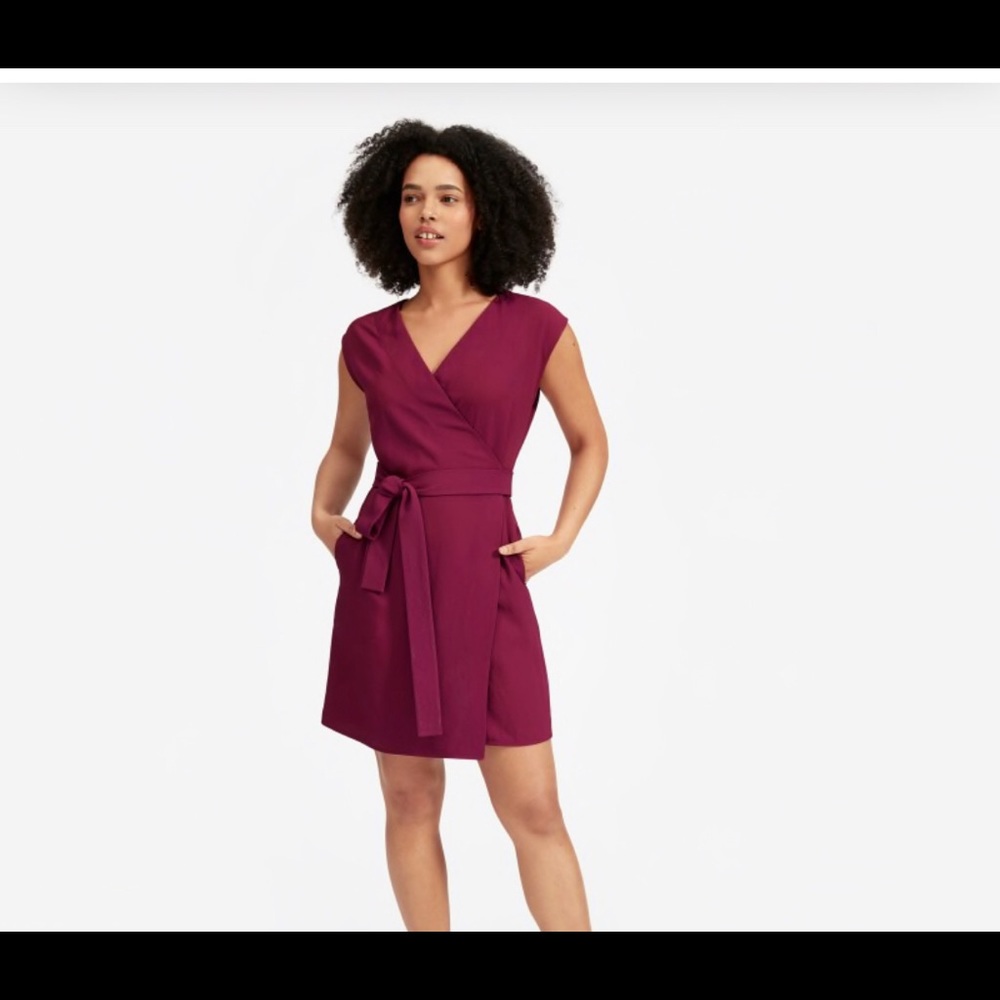 Everlane Japanese Goweave dress size 4